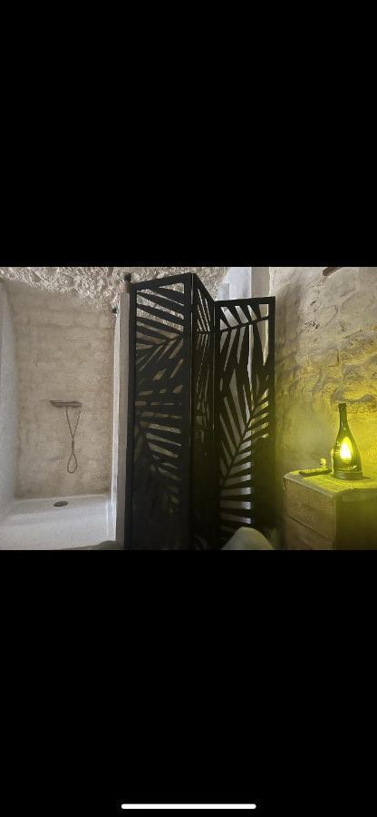 Voute Des Anges Type Loft Sans Cloison Apartment Castelnau-Montratier Екстериор снимка